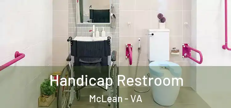 Handicap Restroom McLean - VA